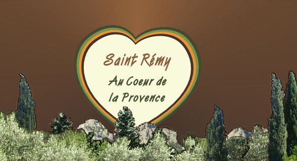 Saint Remy de Provence au Coeur de la Provence